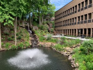 Pond outside of Greenwich Office Park